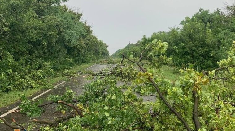 Негода в Україні: без світла 529 населених пунктів, пошкоджено дахи, повалено дерева