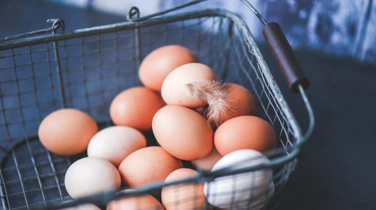 Яйця взимку в Україні можуть подорожчати до 75 гривень за десяток - нардеп