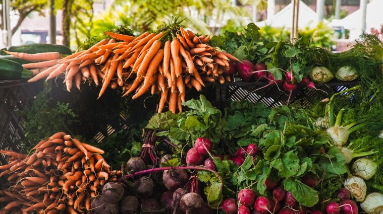 В Украине дорожает морковь: какие цены