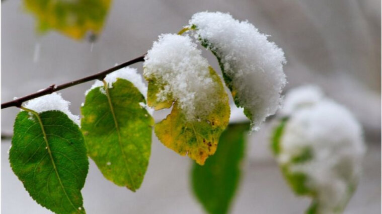 Синоптики прогнозують перший сніг в Україні в середині жовтня