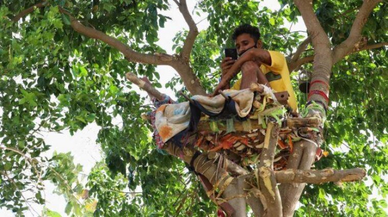 Больной коронавирусом индиец провел 11 дней "самоизоляции" на дереве