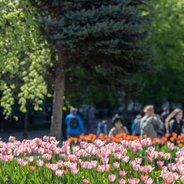 Обновленные парки Киева: где можно отдохнуть с семьей в столице