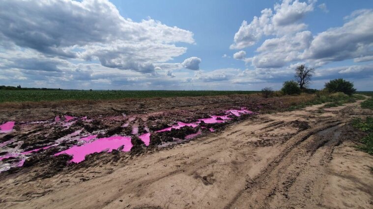 Розовые лужи в поле Ровенской области: полиция открыла производство