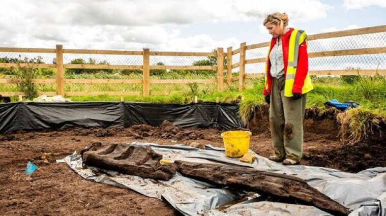 У болотах Ірландії знайшли найбільшого язичницького ідола, якому 1600 років - фото