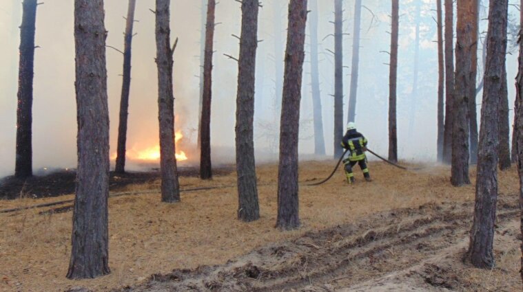 Вследствие масштабных пожаров в Луганской области погибли 4 человека