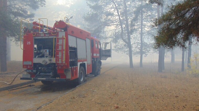 Луганщина в огне: горят леса, эвакуируют села (фото, видео)