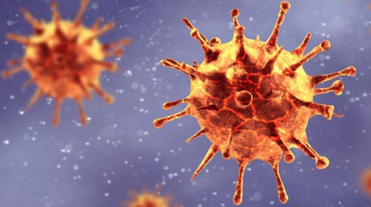 У МОЗі попередили про небезпечні мутації коронавірусу у норок