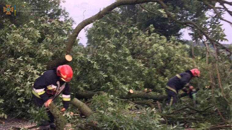 Непогода на Львовщине: повырывало дерева, затопило дома и дворы
