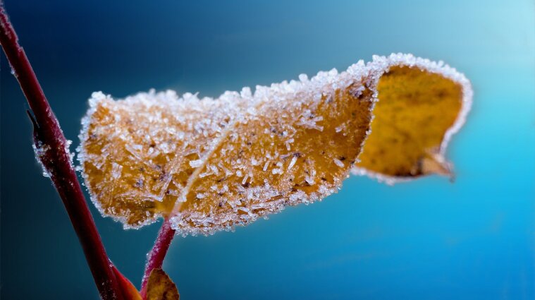 До -1 градуса: в Украине зафиксировали заморозки