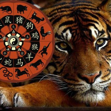 Тигр та його одинадцять друзів: яким буде 2022 рік для представників 12 знаків східного гороскопу