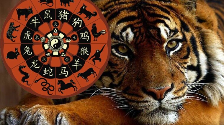 Тигр и его одиннадцать друзей: каким будет 2022 год для представителей 12 знаков восточного гороскопа