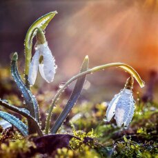 Прохолодний і вологий: синоптики оновили прогноз на квітень