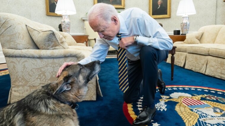 Помер собака американського президента на прізвисько Чемп