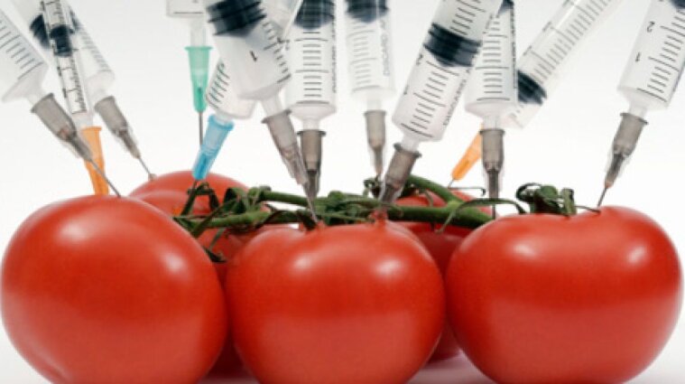 В Україні узаконили ГМО