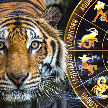 Рік тигра наступає за китайським календарем: гороскоп для всіх знаків Зодіаку