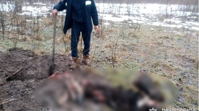В Хмельницкой области будут судить охотника, который убил лося