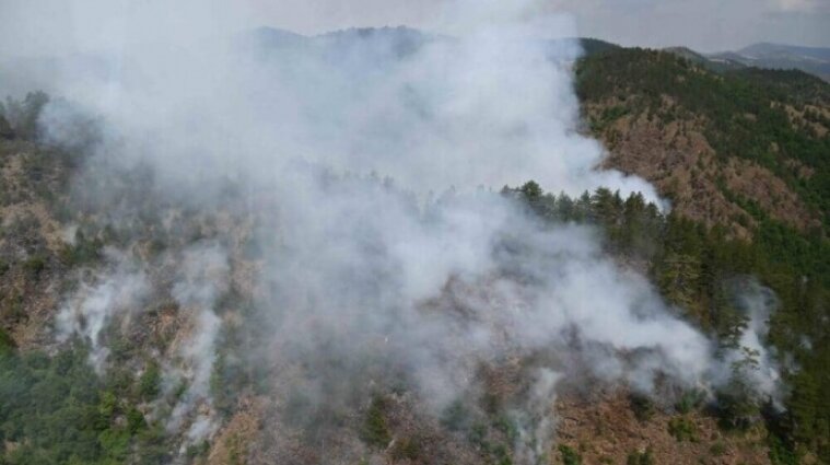 В Чорногорії спалахнула лісова пожежа