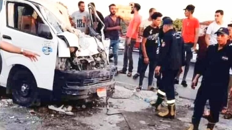 Кобра в Египте убила водителя автомобиля и семью из четырех человек