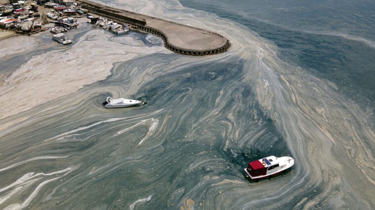Мы можем потерять Мраморное море из-за его загрязнения - эколог