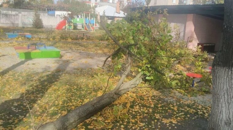 Впало дерево у дитсадку: У Кременчуці померла 4-річна дівчинка
