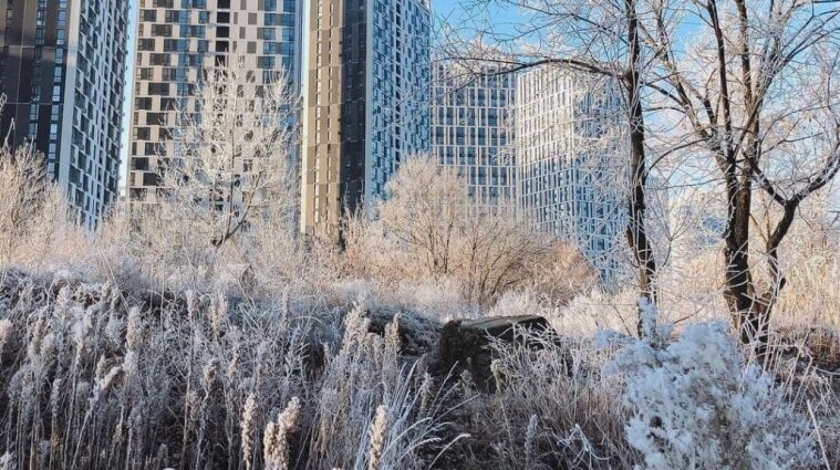 Морозно і без опадів: Укргідрометцентр про погоду на 26 січня
