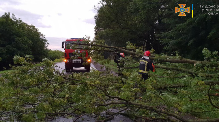 Дерева повалило на дорогу, а села знеструмило: наслідки негоди на Буковині (фото, відео)