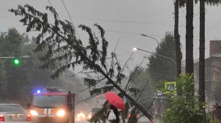 Дожди в Хмельницком затопили улицы и дома, ветер вырывал деревья - видео