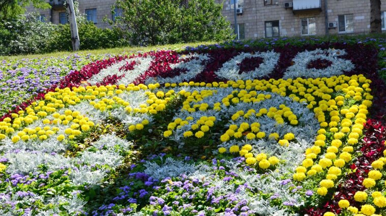 В Киеве создали цветочное панно в честь полка "Азов" (фото)