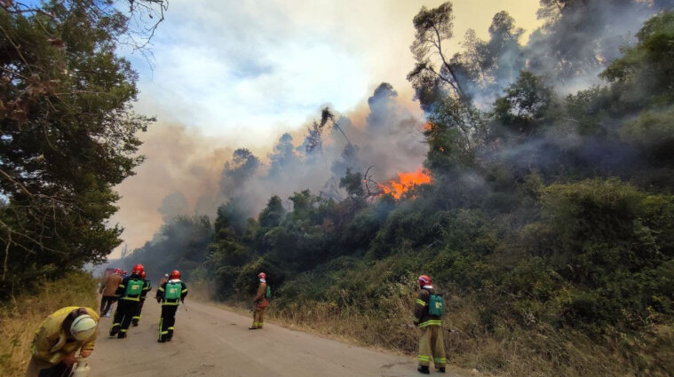 Пожарные Украины спасли два населенных пункта в Греции от огня - фото