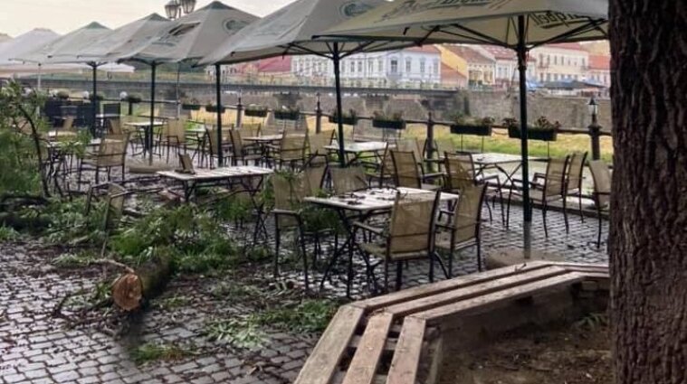 Огромная ветка дерева упала на посетителей кафе в Ужгороде - видео