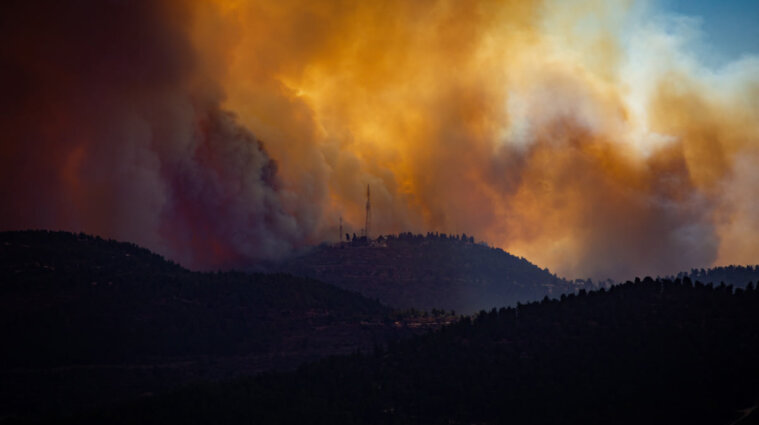У Франції через лісові пожежі евакуювали понад 2000 людей