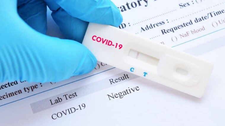 Кентавр: в Нидерландах обнаружили новый штамм коронавируса