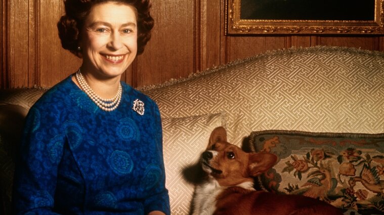 Умерла собака королевы Великобритании