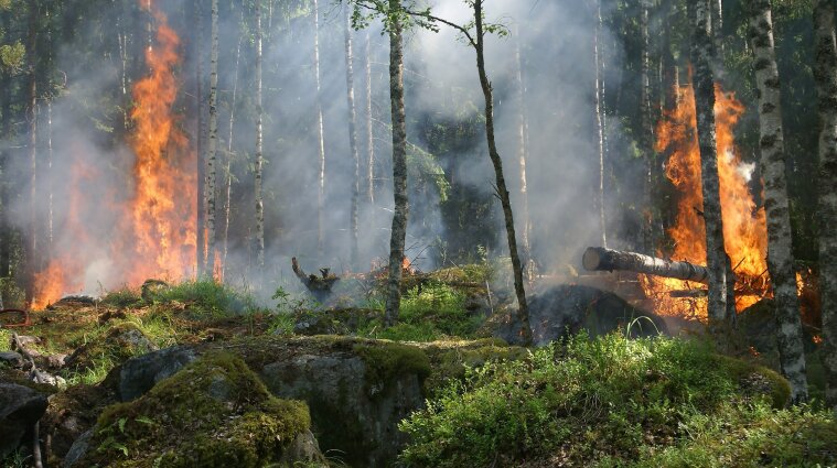 Синоптики попередили про надзвичайну пожежну небезпеку в Україні