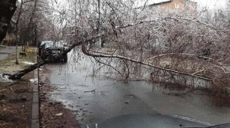 Ледяной дождь в столице: непогода повредила более 700 деревьев