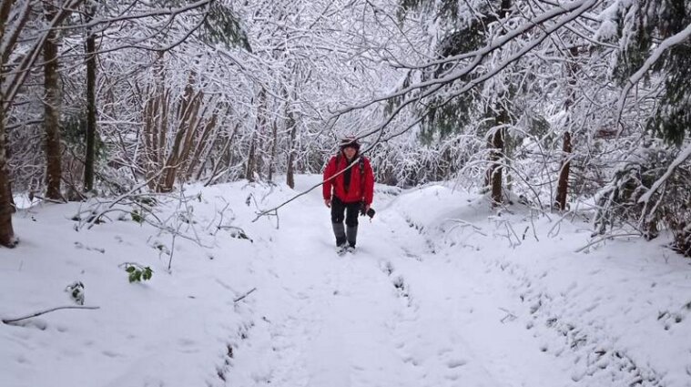 Турист на снегоходе пропал в Закарпатской области: искать мужчину помогают волонтеры