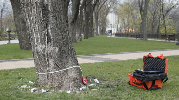 В Киеве купили оборудование для диагностики здоровья деревьев (фото)