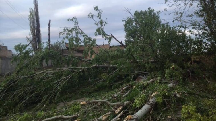 Непогода в Украине: снесло крыши более чем 100 домов, ветер вырывал деревья с корнями - фото