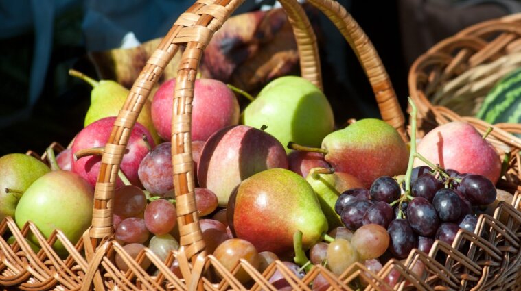 Продуктові ярмарки відкрилися у Києві: адреси, де продаватимуть сезонні овочі та фрукти