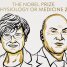 У світі стартував Нобелівський тиждень: хто отримав премію з медицини