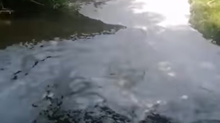 Река в Киеве потемнела и покрылась пеной - видео