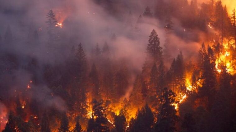 Лісові пожежі у США: загинули 25 людей, тисячі будинків знищені