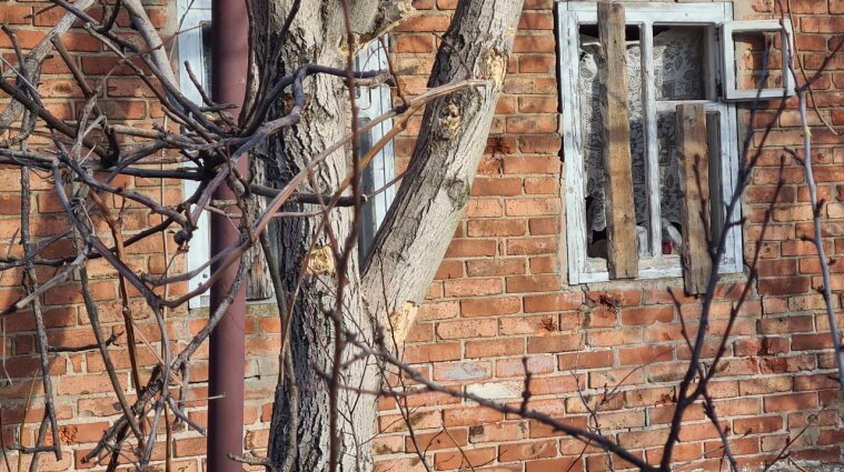 Война на Донбассе: оккупанты обстреляли жилые кварталы Новгородского - фото