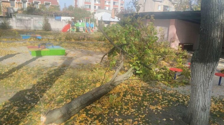 На Полтавщине в детском саду упало дерево - травмированы двое детей
