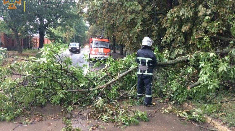 Дерева впали на будинки, автівки і дороги, а села знеструмлено: на Кіровоградщині пройшла злива (відео)