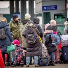 Украинские беженцы в Европе: стали известны страны, где их больше всего