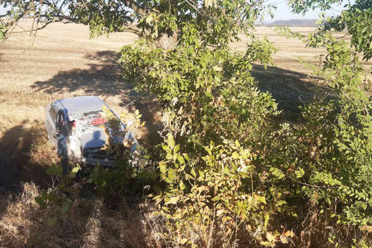 У Кривому Розі авто вилетіло у кювет, водій загинув