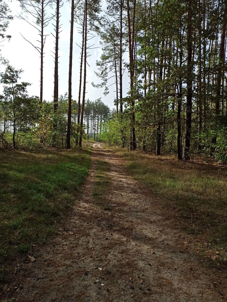 Синоптики повідомили, якою буде погода в Україні