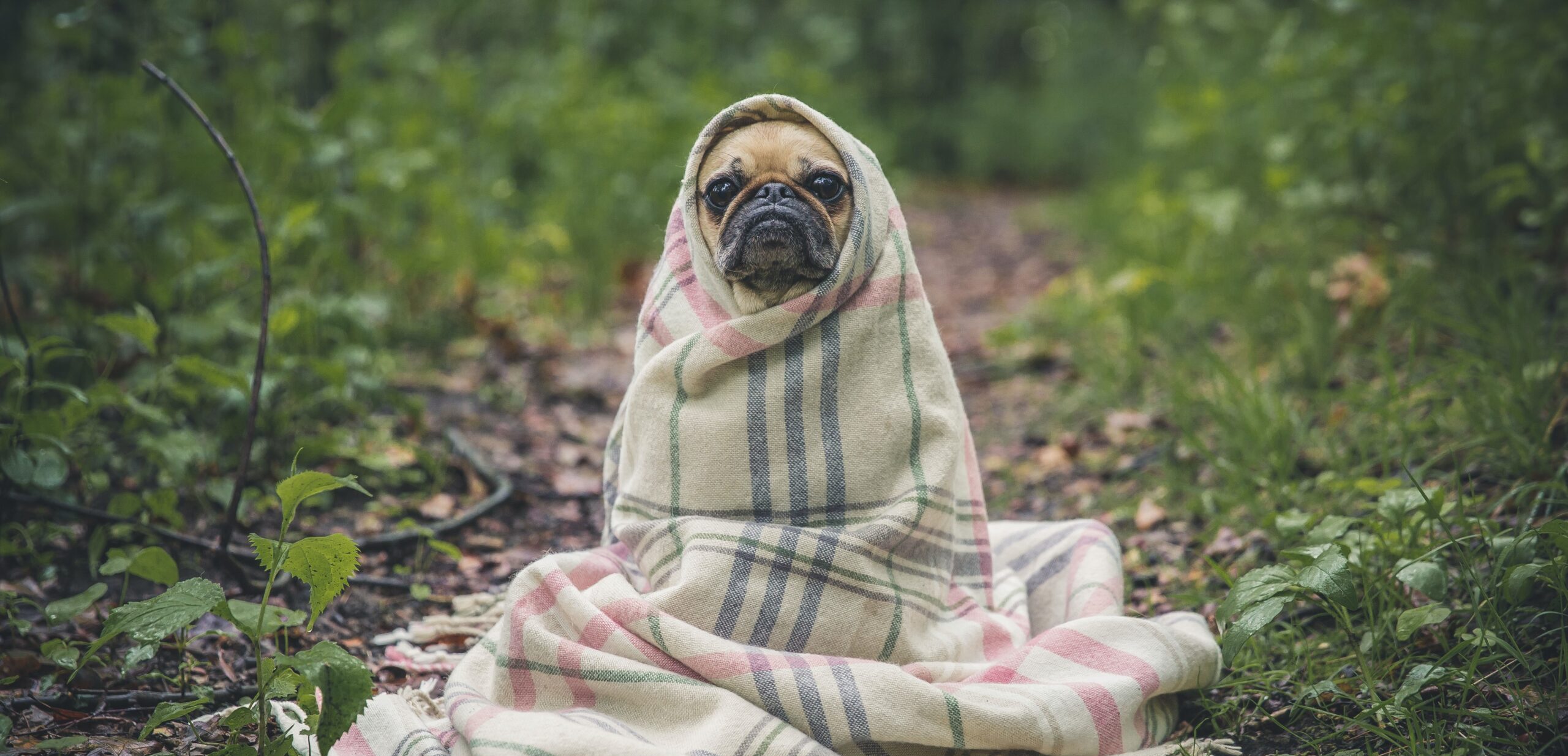 МОЗ нагадало, як хворіють на COVID-19 у легкій формі