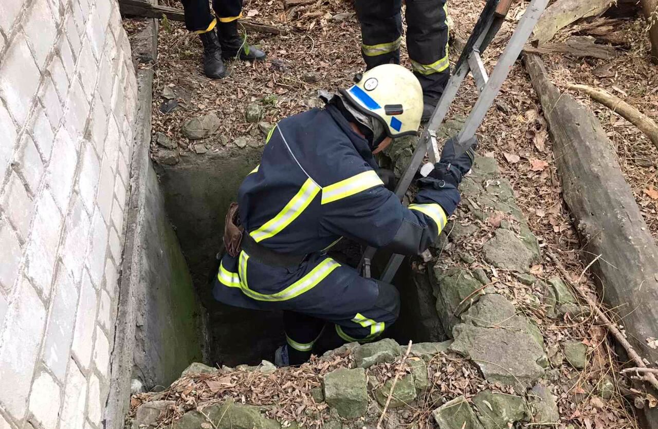 Надзвичайники врятували собаку, який впав у триметрову яму - фото